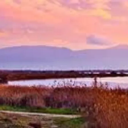 Cosy Apartment Canet-en-Roussillon